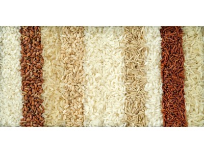 Qual é a melhor marca e variedade de arroz para a paella?